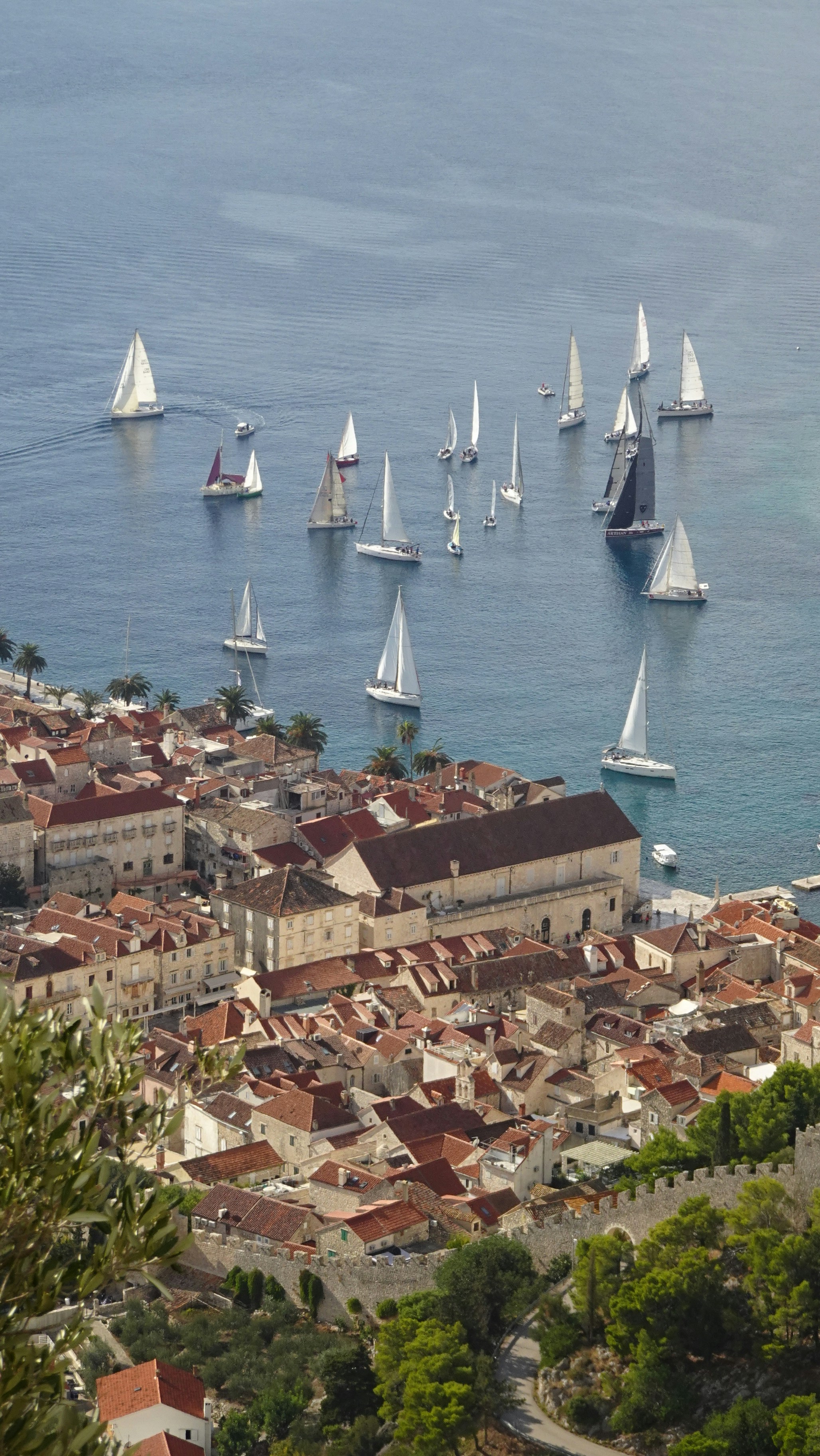 Sailboats racing off Hvar town on the Adriatic Sea, Croatia, with the old town visible below