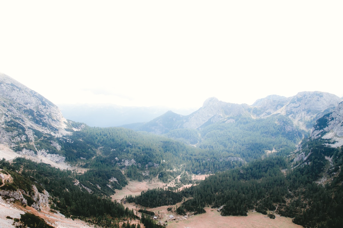 Green forested mountain slope in Slovenia - national parks in the Balkans