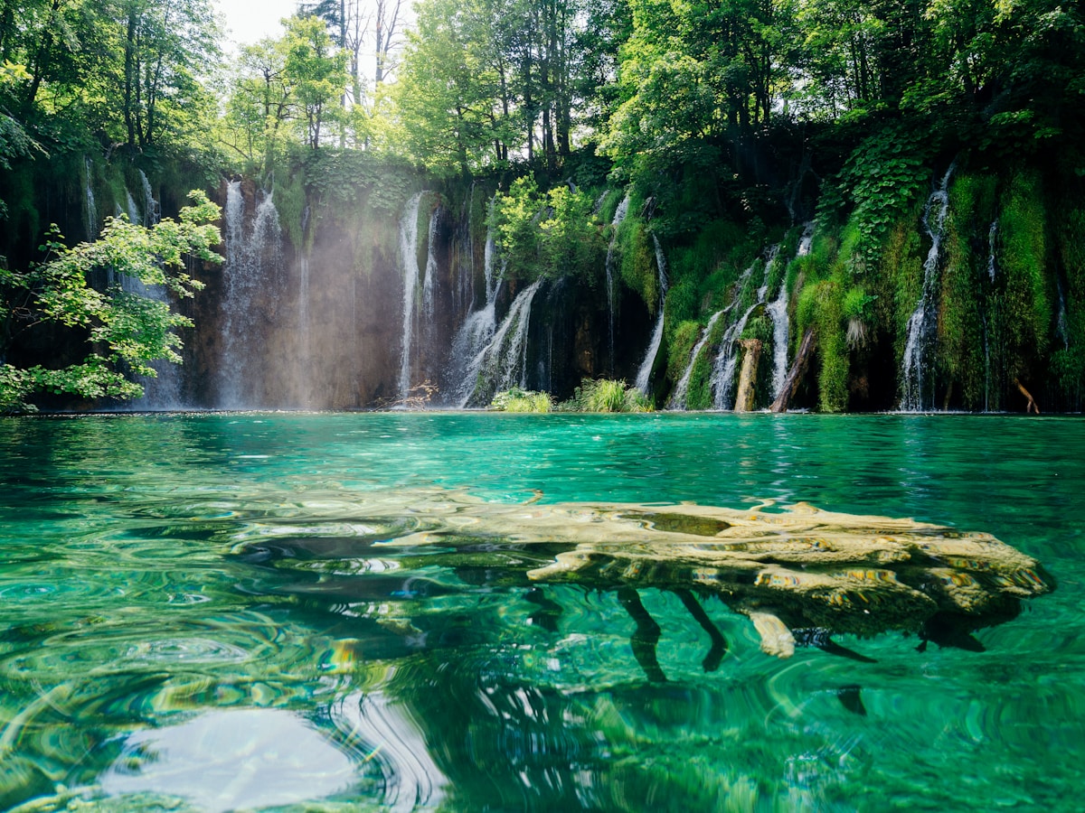Waterfalls cascading through forest at Plitvice Lakes, Croatia
