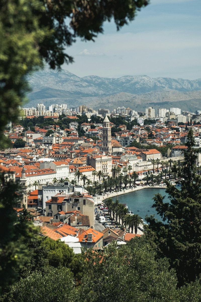 Trees and coastal buildings in Split, Dalmatia, Croatia