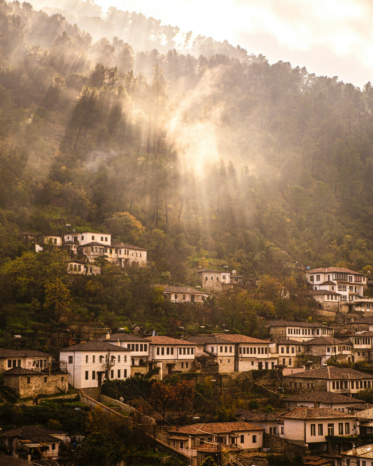 Traditional white stone buildings on a hillside in Berat, Albania