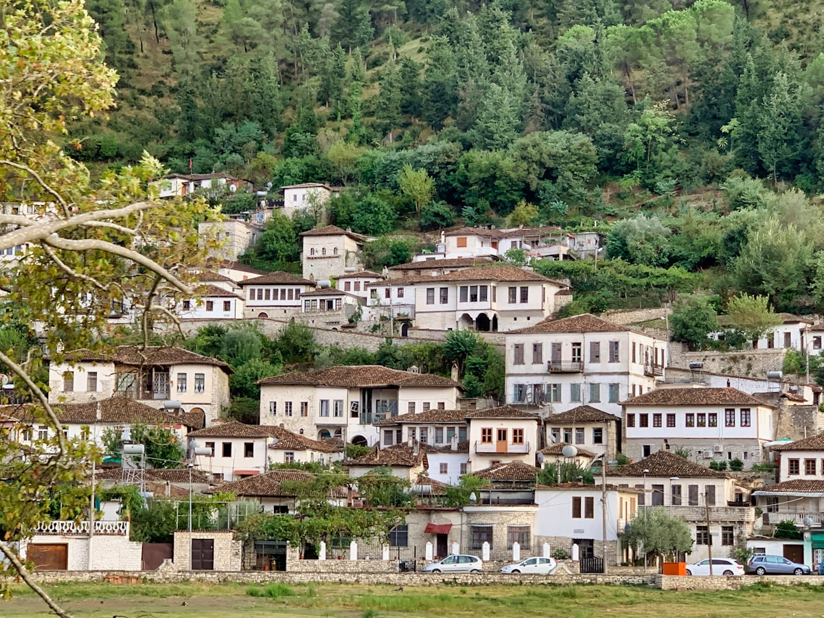 Hillside view of Berat old town with medieval castle above, Albania