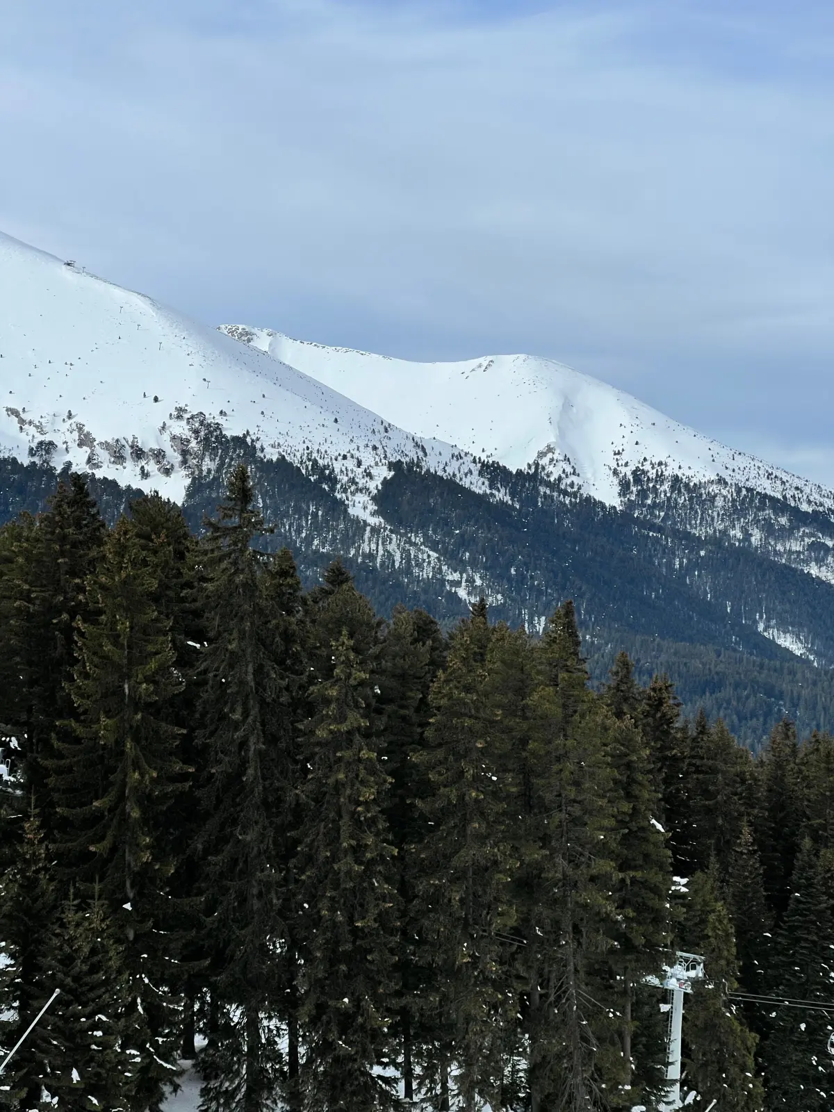 Snow-capped peaks above pine forests in Bansko, Bulgaria