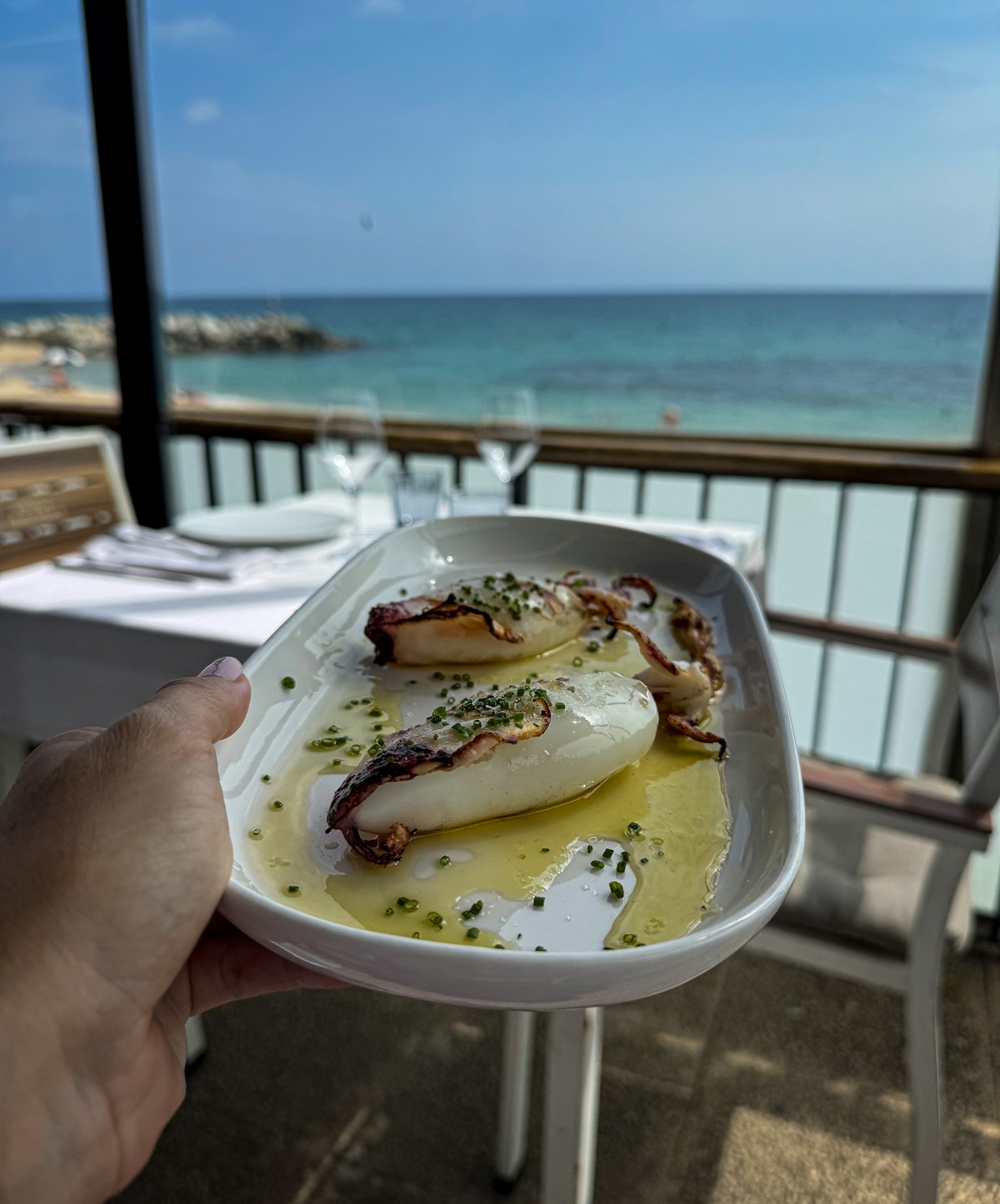 Grilled calamari with herbs and olive oil overlooking the sea — Albanian Riviera