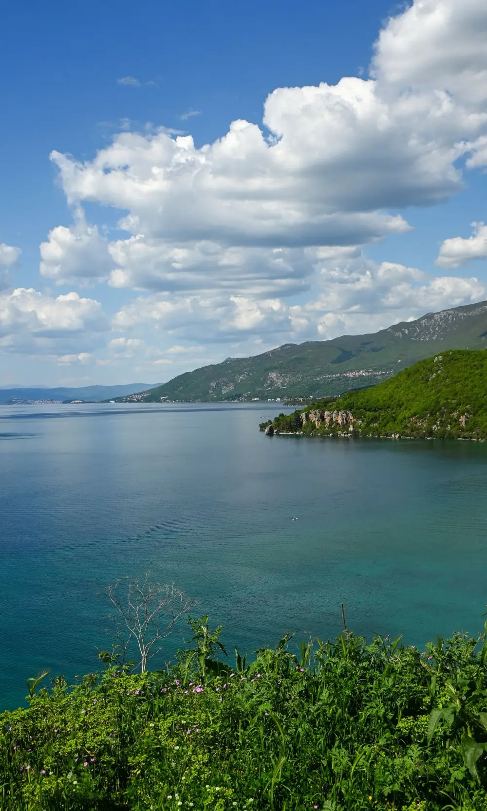 Lake Ohrid and green headland under a blue sky, North Macedonia