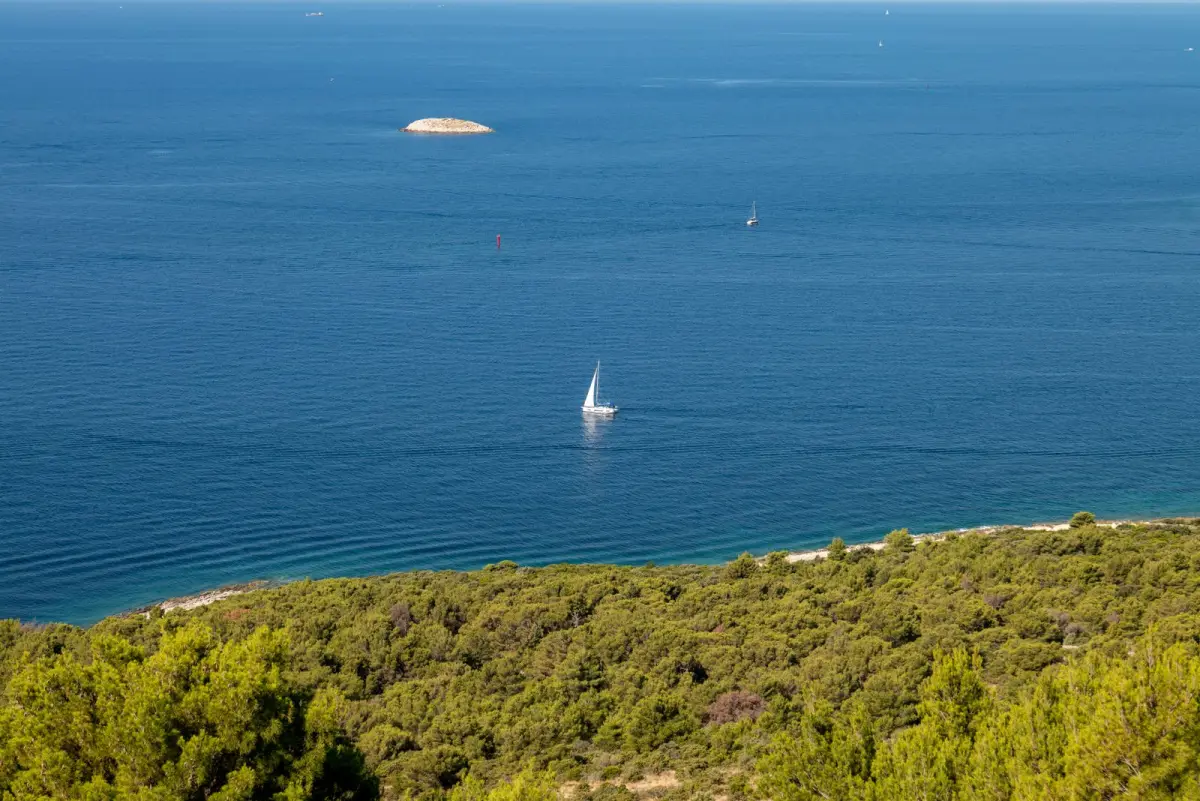 Voilier sur l'Adriatique bleu profond près d'une côte couverte de pins, Croatie