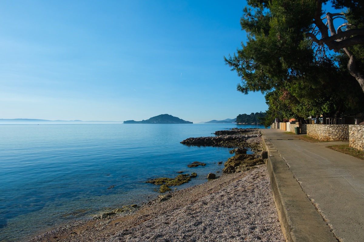 Coastal road lined with pines beside the Adriatic Sea, Croatia