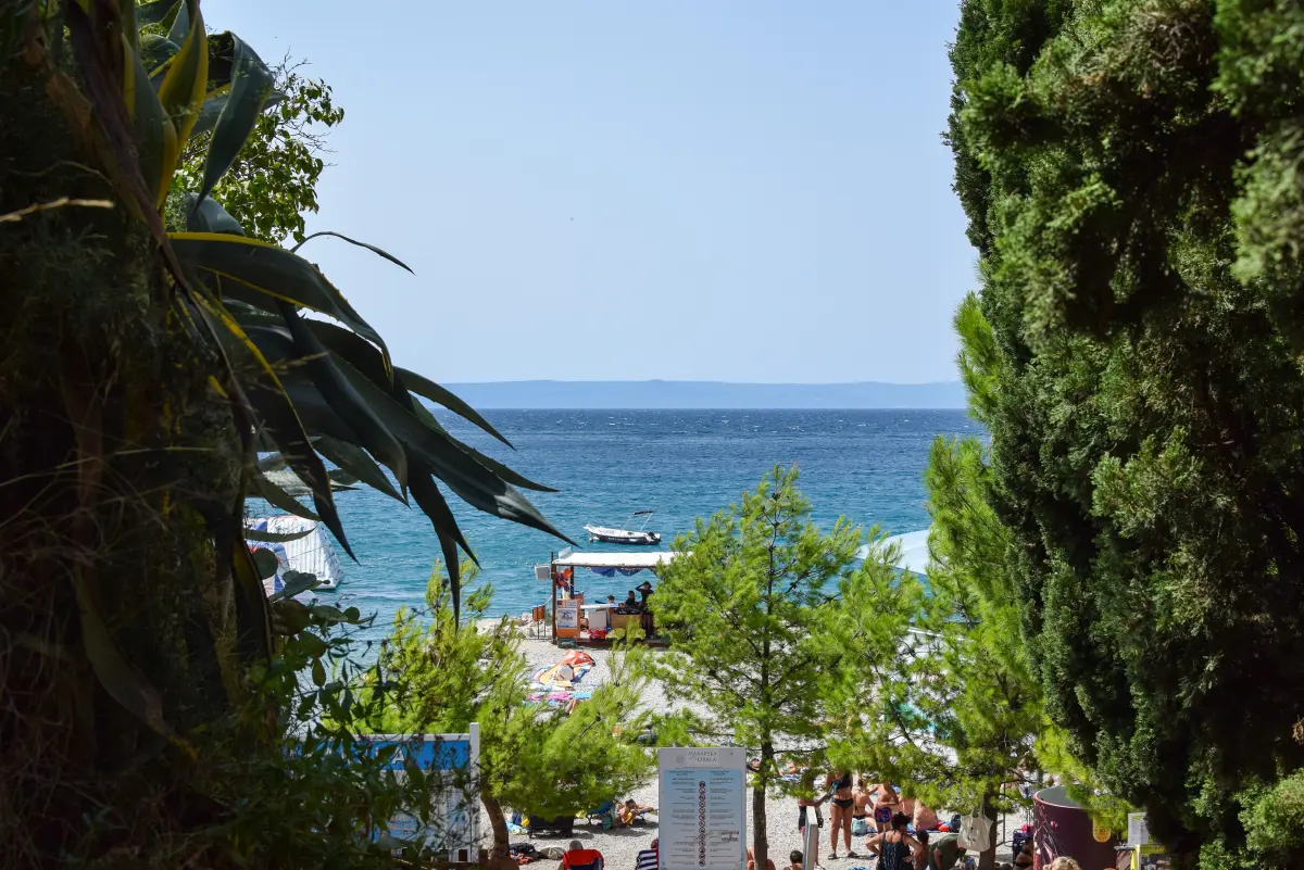 Pebble beach at Makarska with pine trees and turquoise Adriatic water, Dalmatia, Croatia