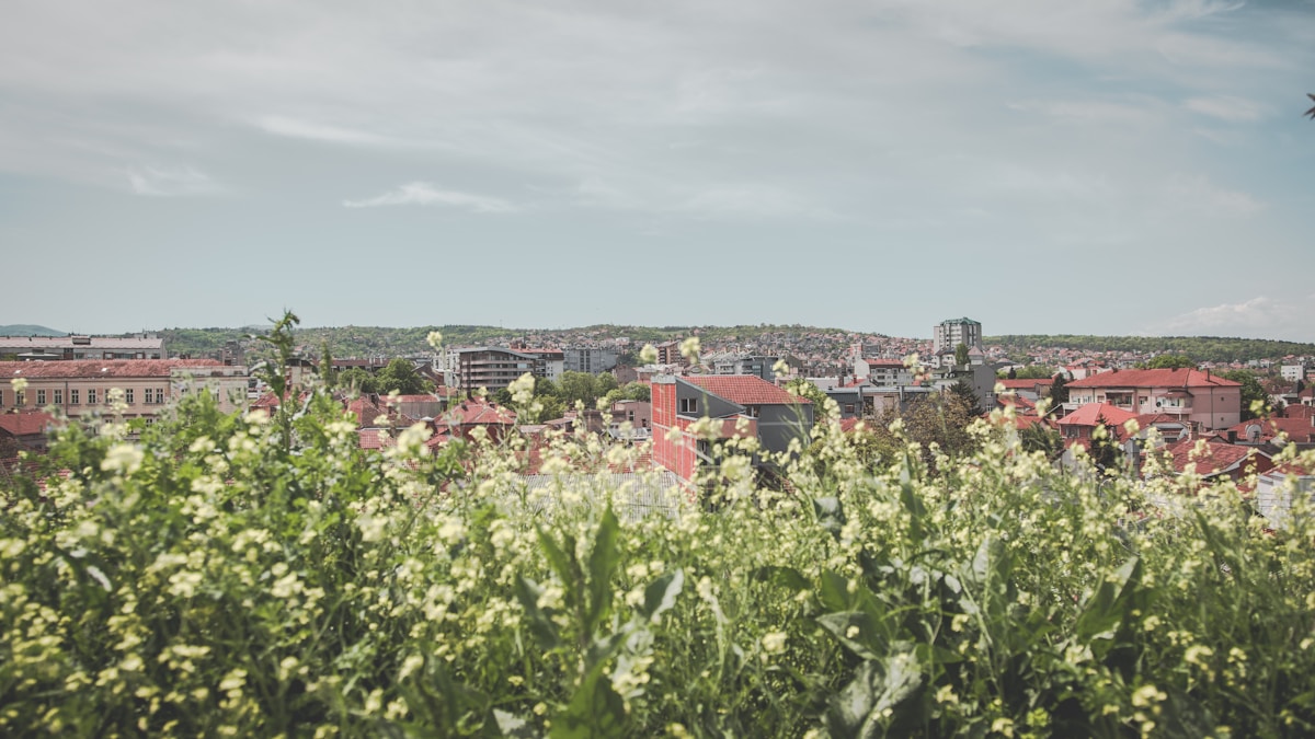 People walking in a garden in Niš, Serbia