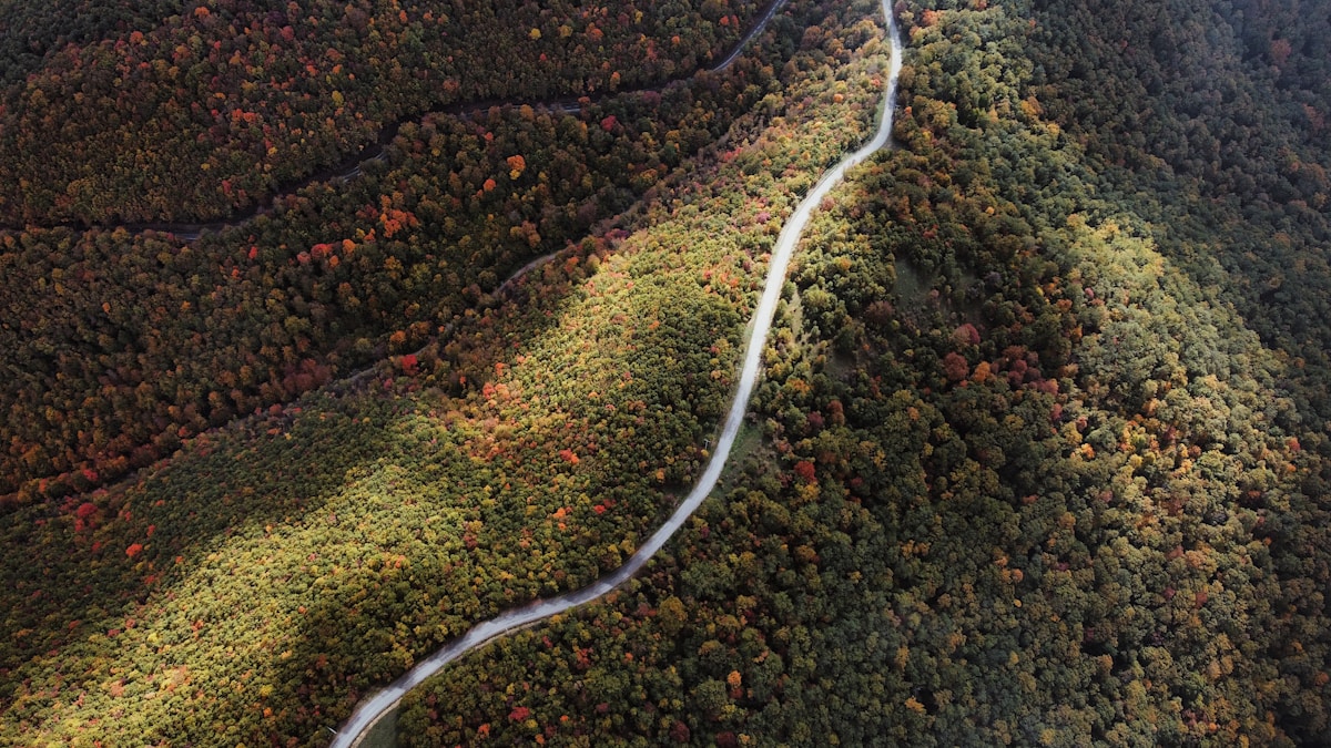 Winding forest road at Gërmia Park near Pristina, Kosovo