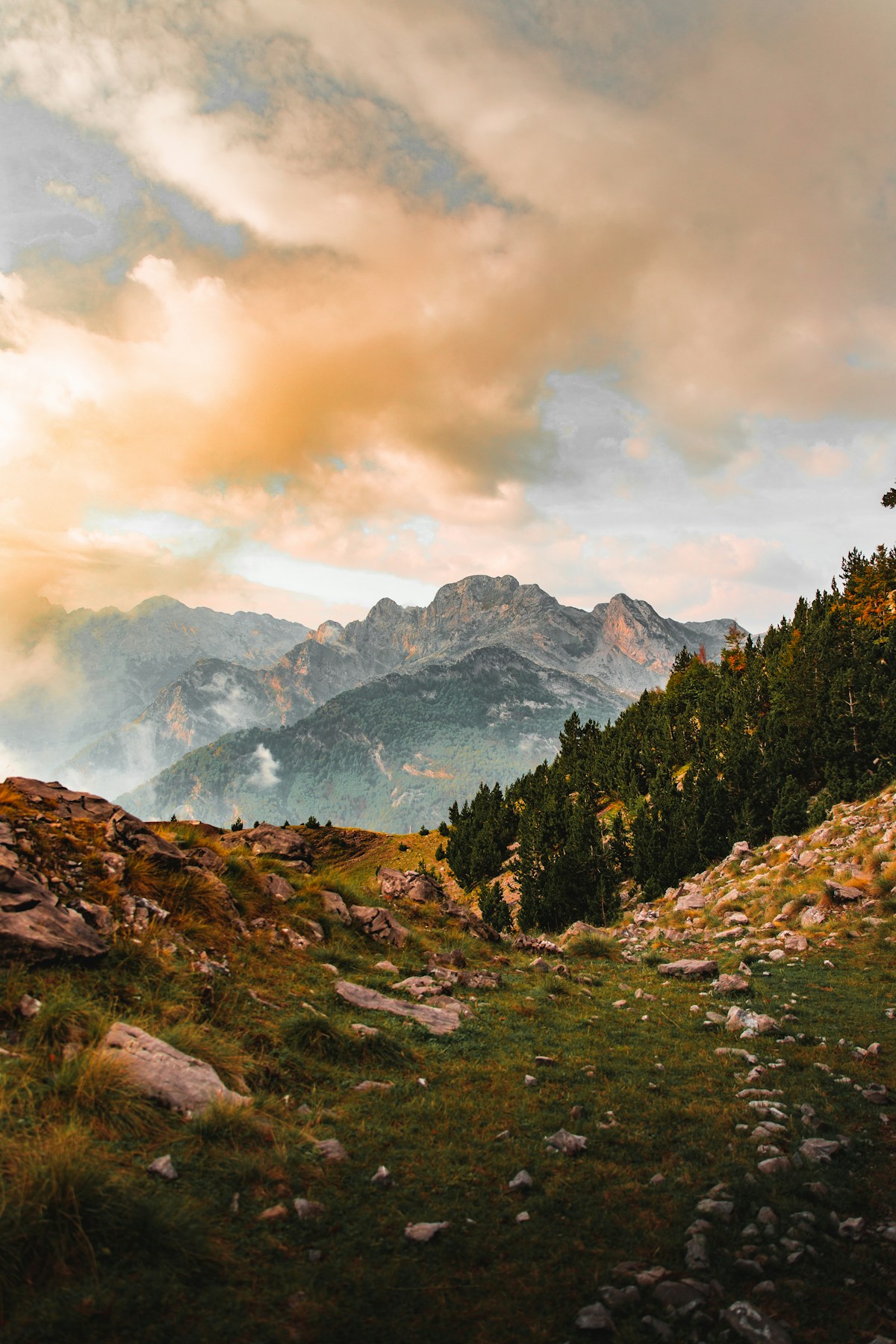 Meadow and mountain peaks in the Albanian Alps