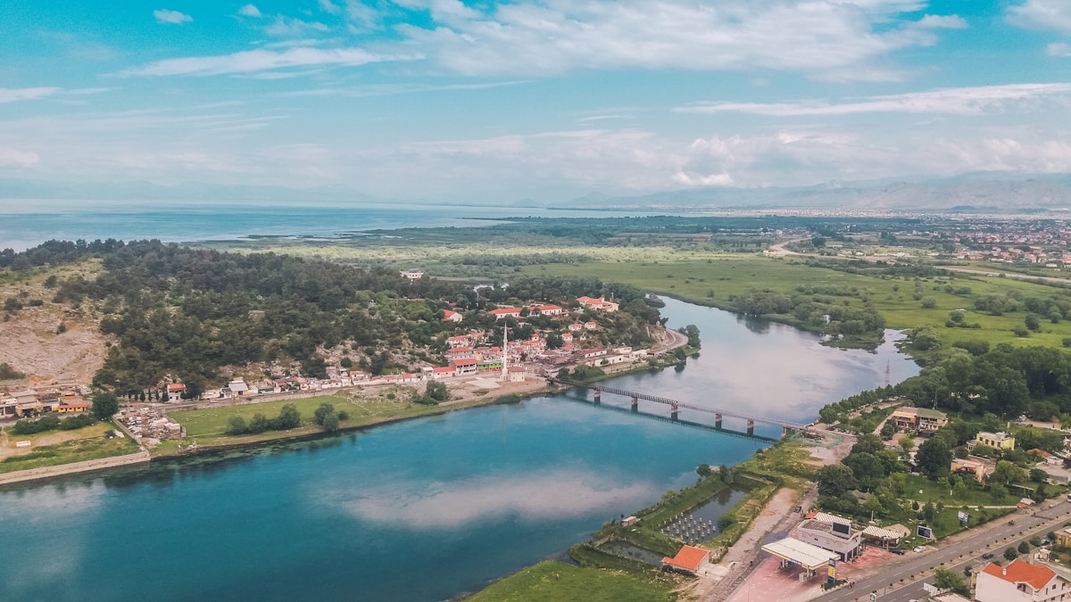 Aerial view of green trees and river delta near Shkodër, Albania