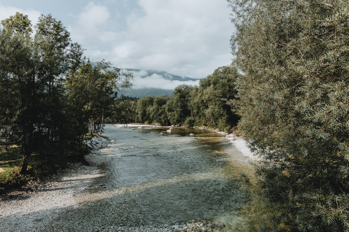 Emerald Soča river flowing through a lush green forest, Slovenia
