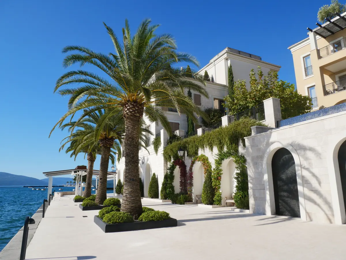 Luxury waterfront resort with palm trees in Tivat, Montenegro