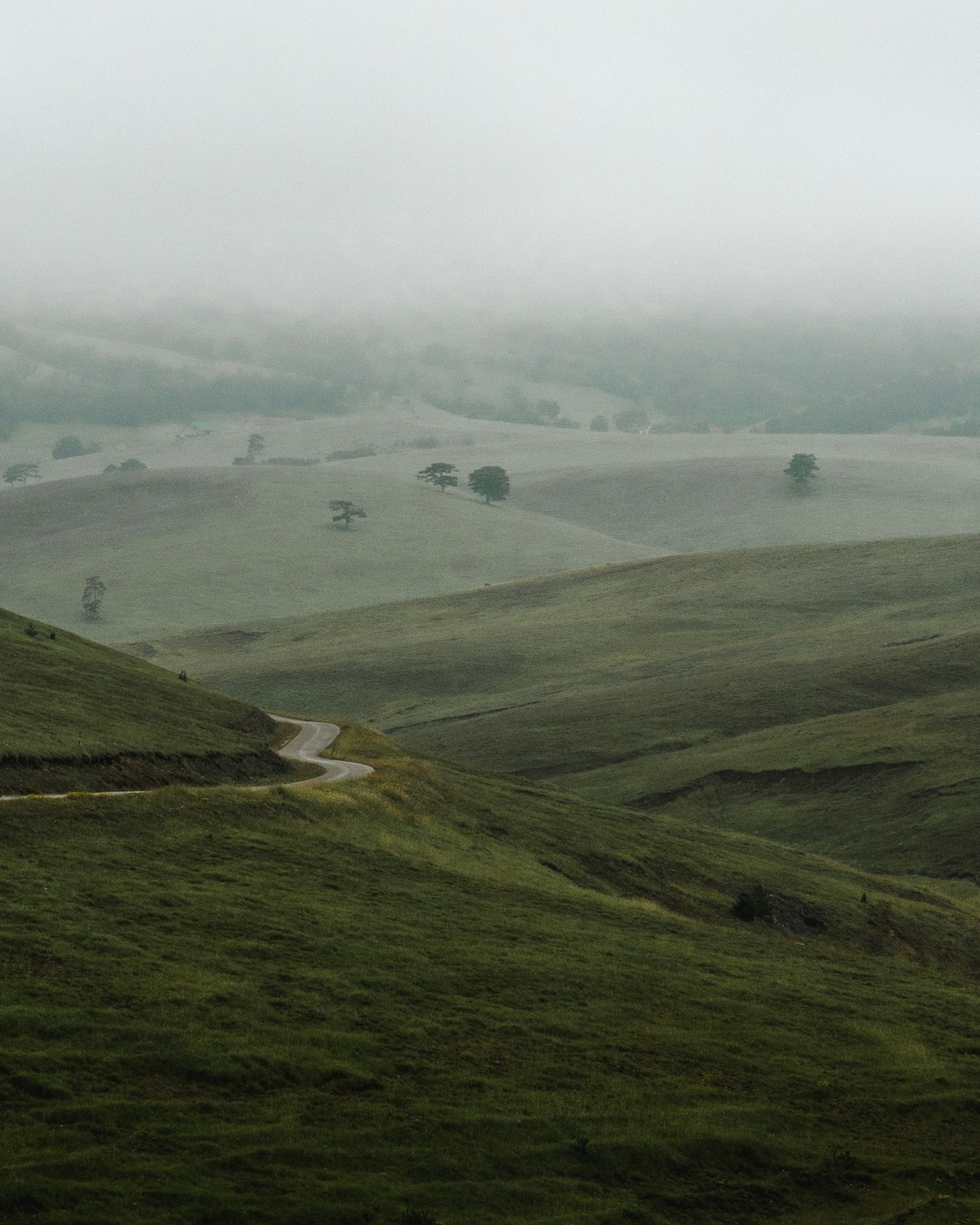Green meadows and forested mountains on Zlatibor, Serbia